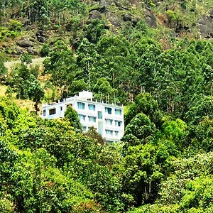 Tea Mount Munnar